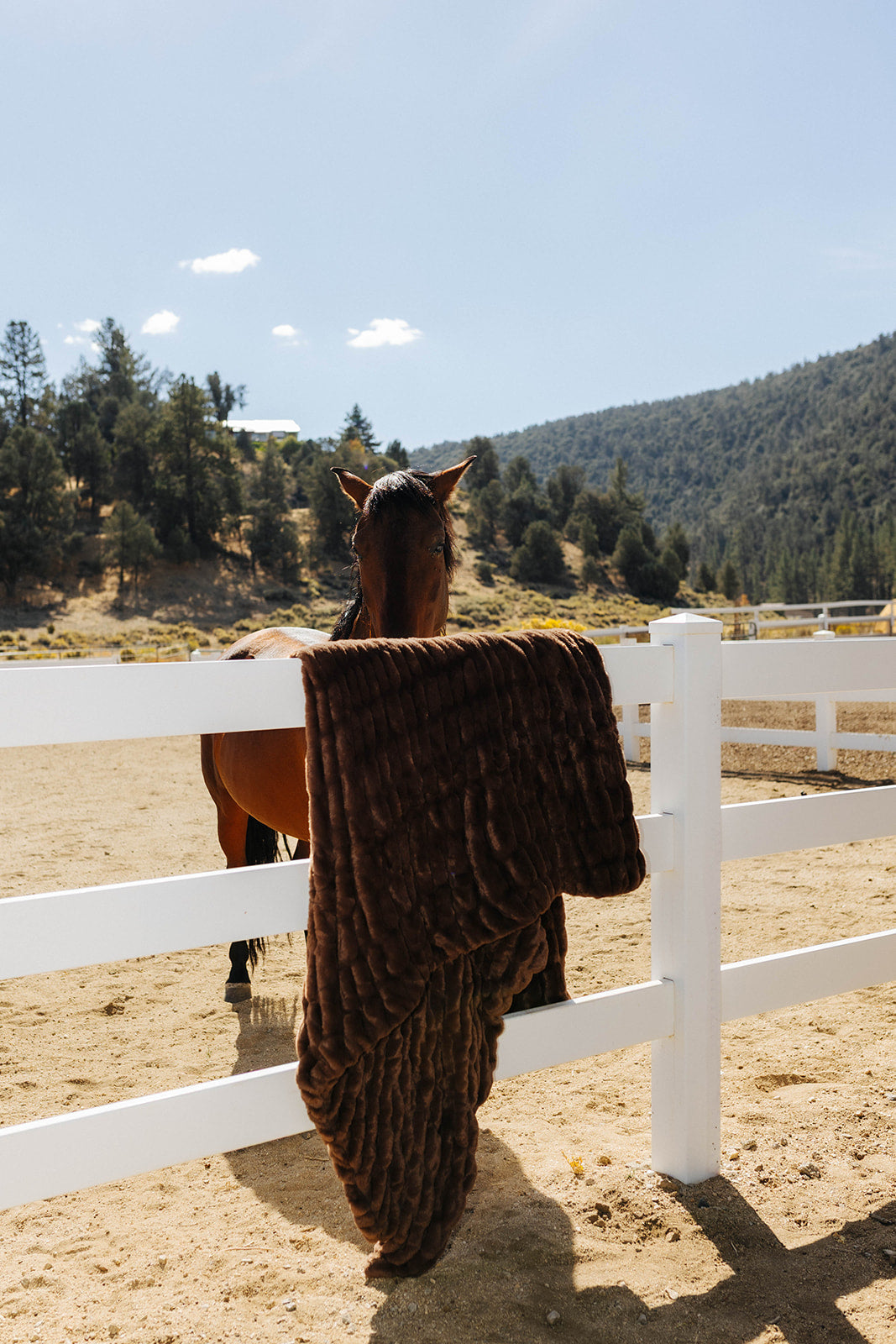 Chocolate brown faux fur blanket draped over a white fence beside a horse.