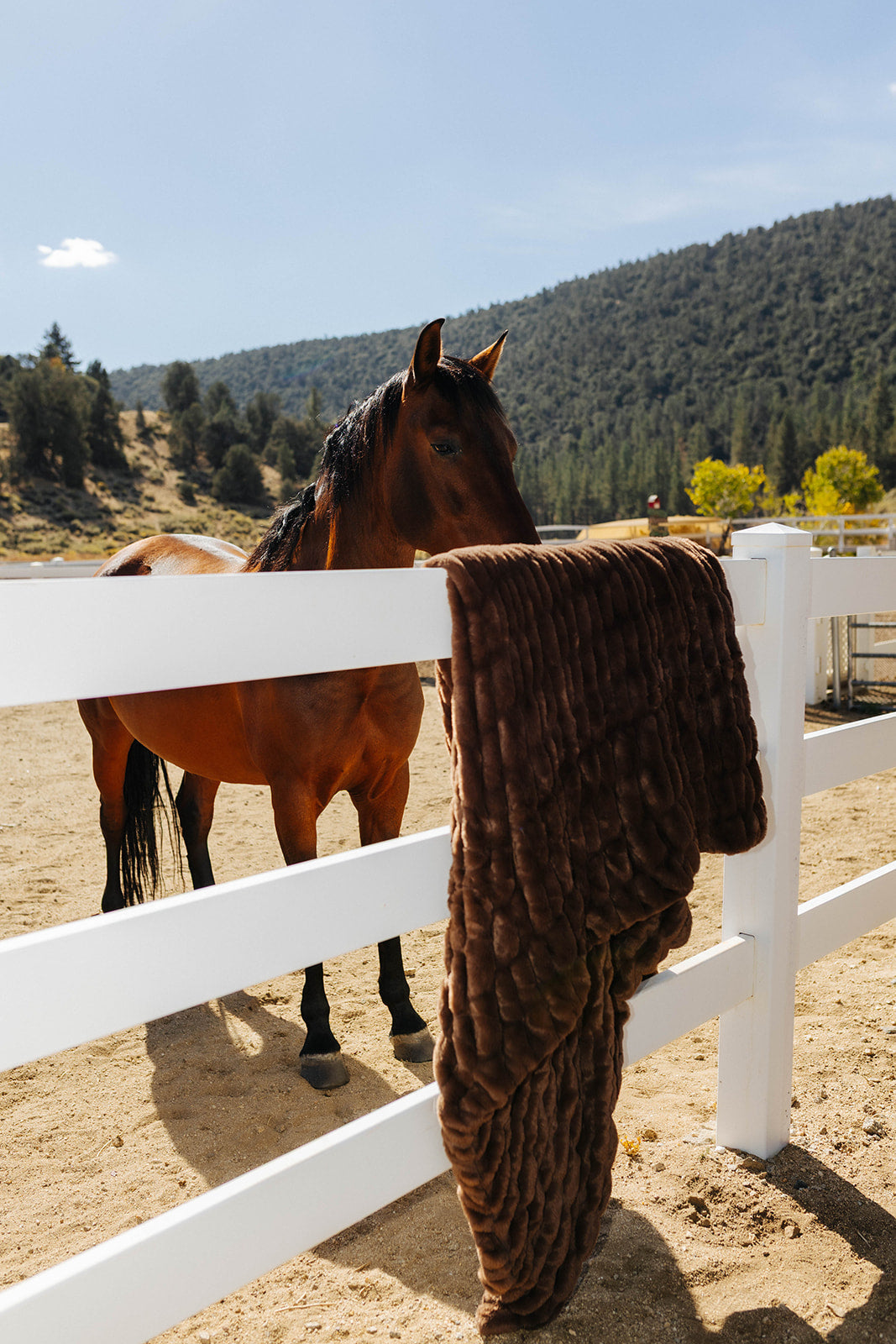 Dark brown faux fur blanket draped over a white fence.