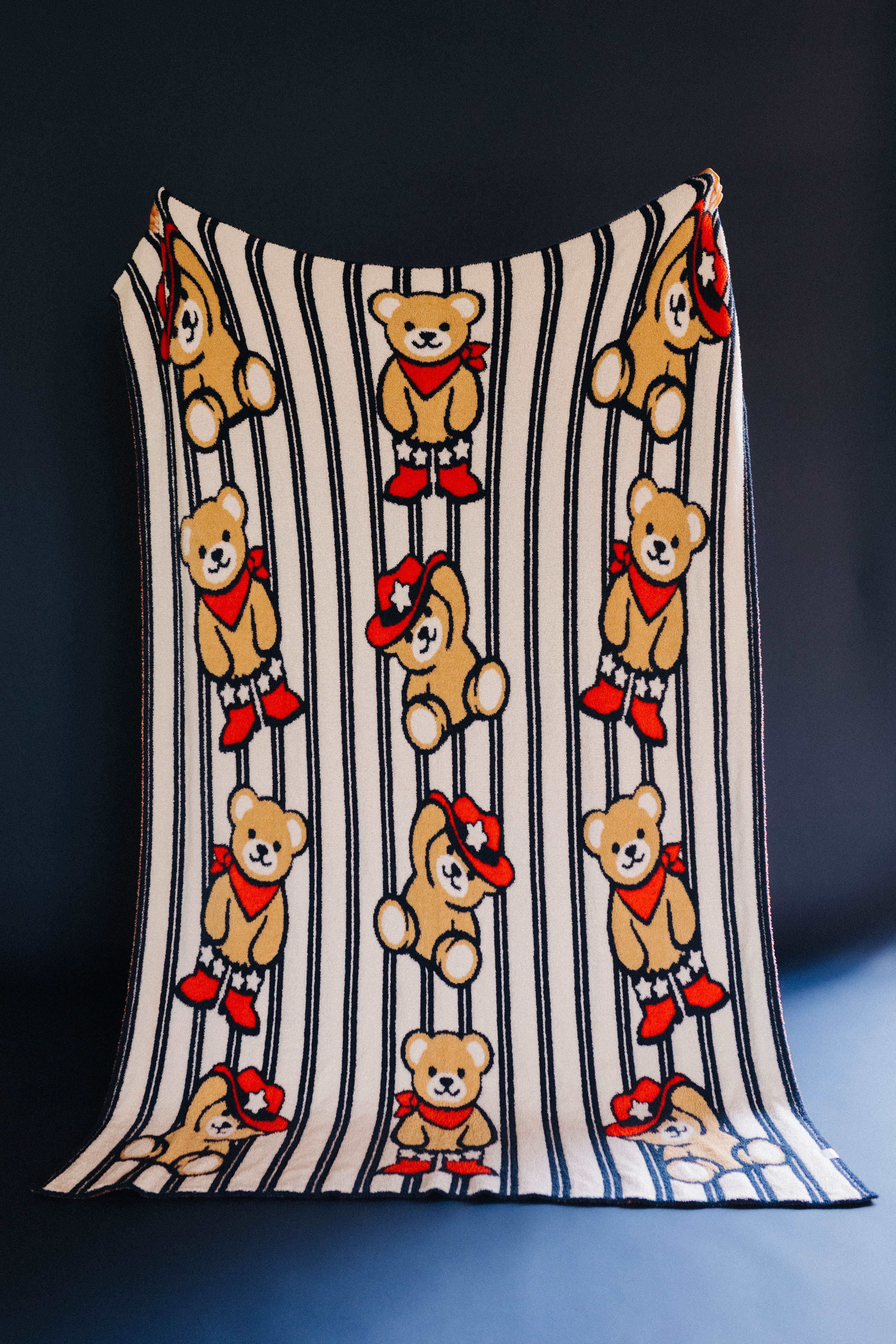 front of teddy bear blanket showing stripes and teddy 